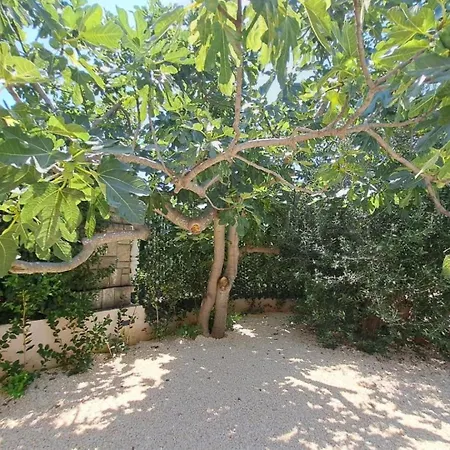 Holiday Jere Modern And Near The Sea Semesterbostad Brodarica (Sibenik-Knin)